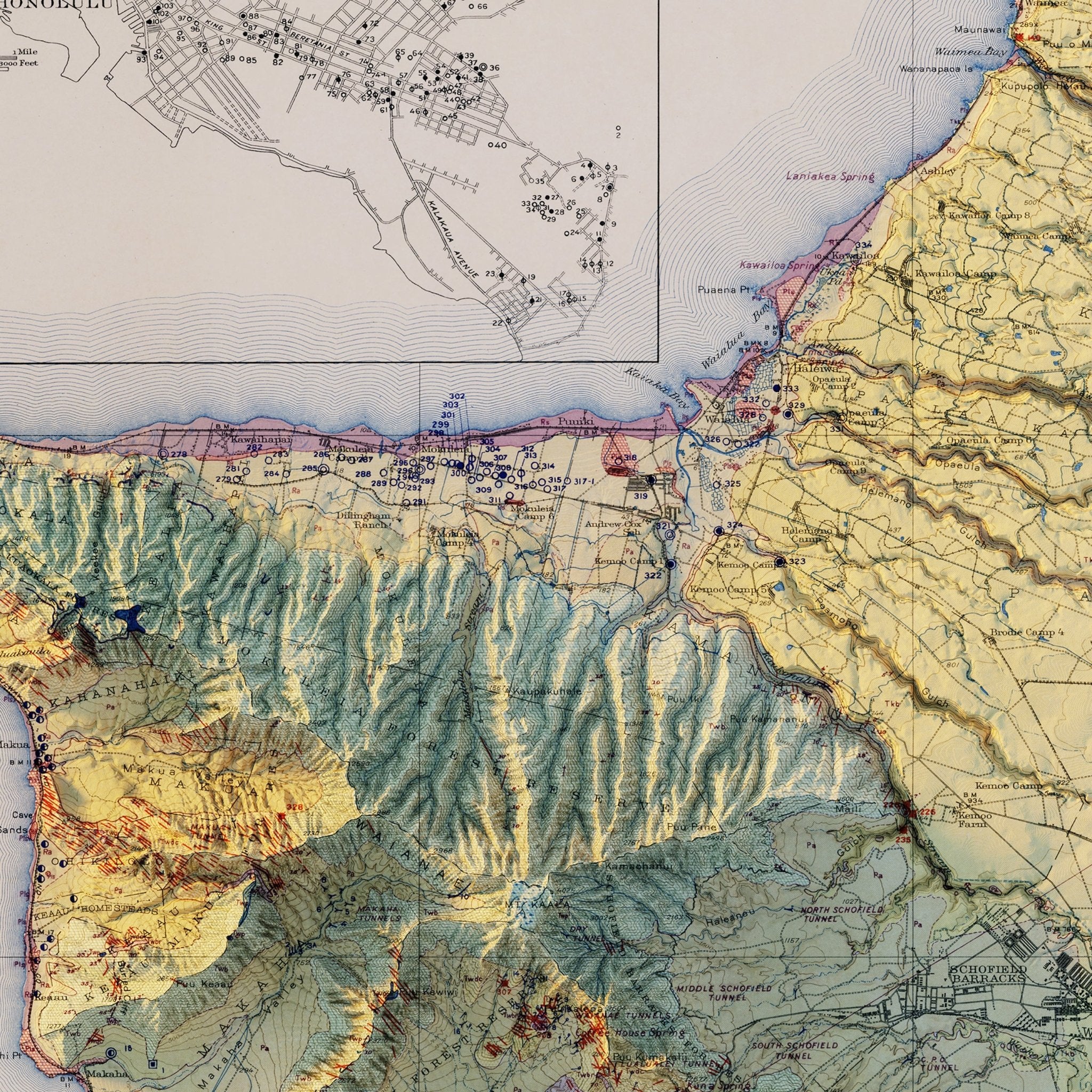 Oahu 1938 Shaded Relief Map - Muir Way - Vintage Relief