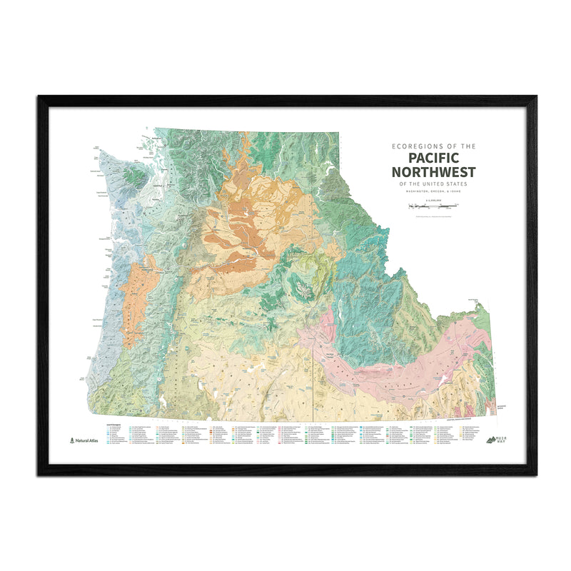 Pacific Northwest Ecoregions Shaded Relief Map - Muir Way - Natural Atlas