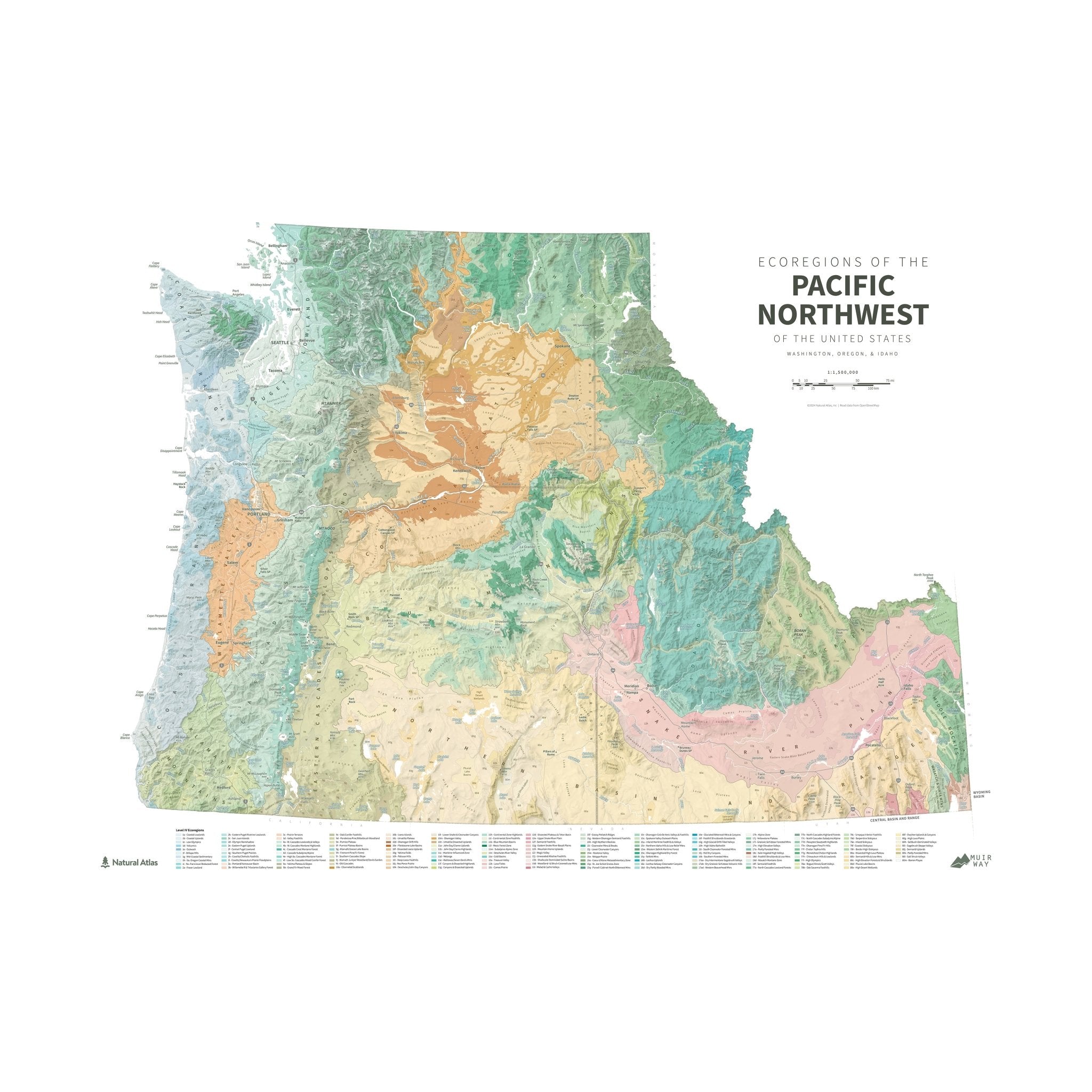 Pacific Northwest Ecoregions Shaded Relief Map - Muir Way - Natural Atlas