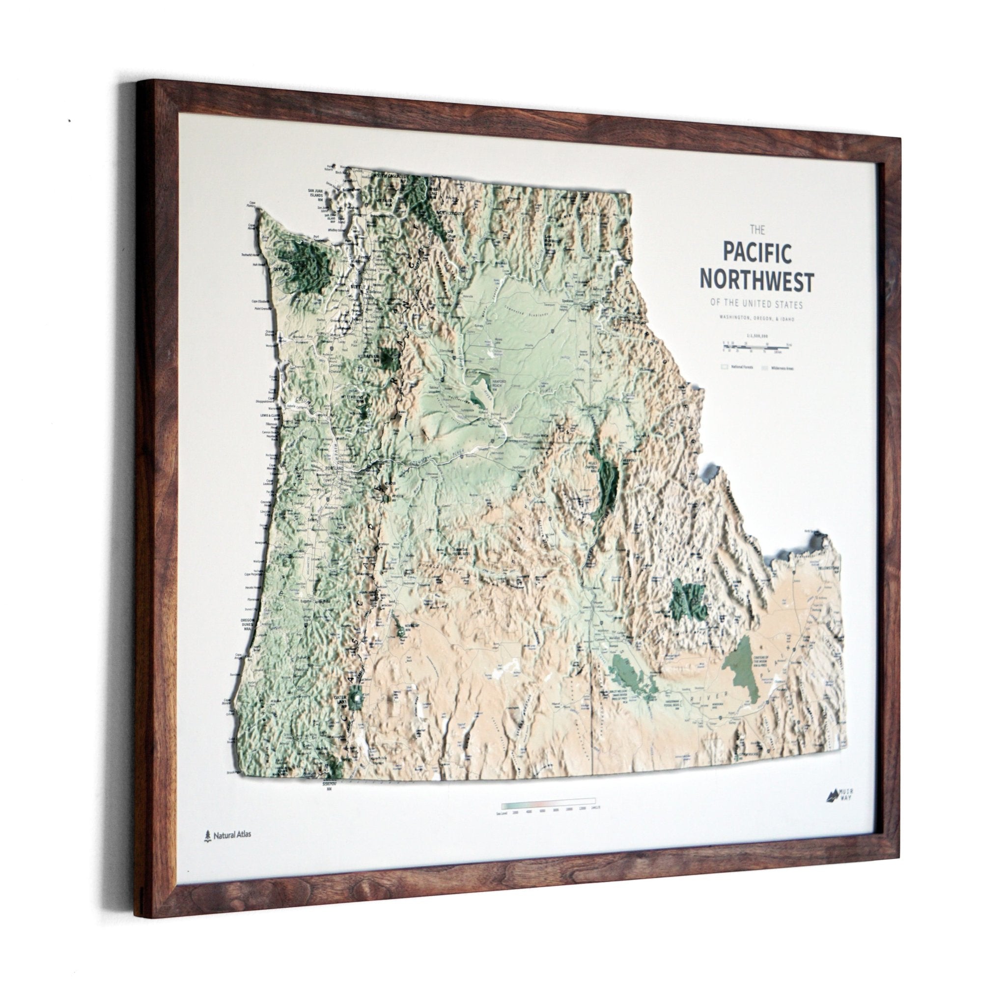 Pacific Northwest 3D Raised Relief Map - Muir Way - Natural Atlas