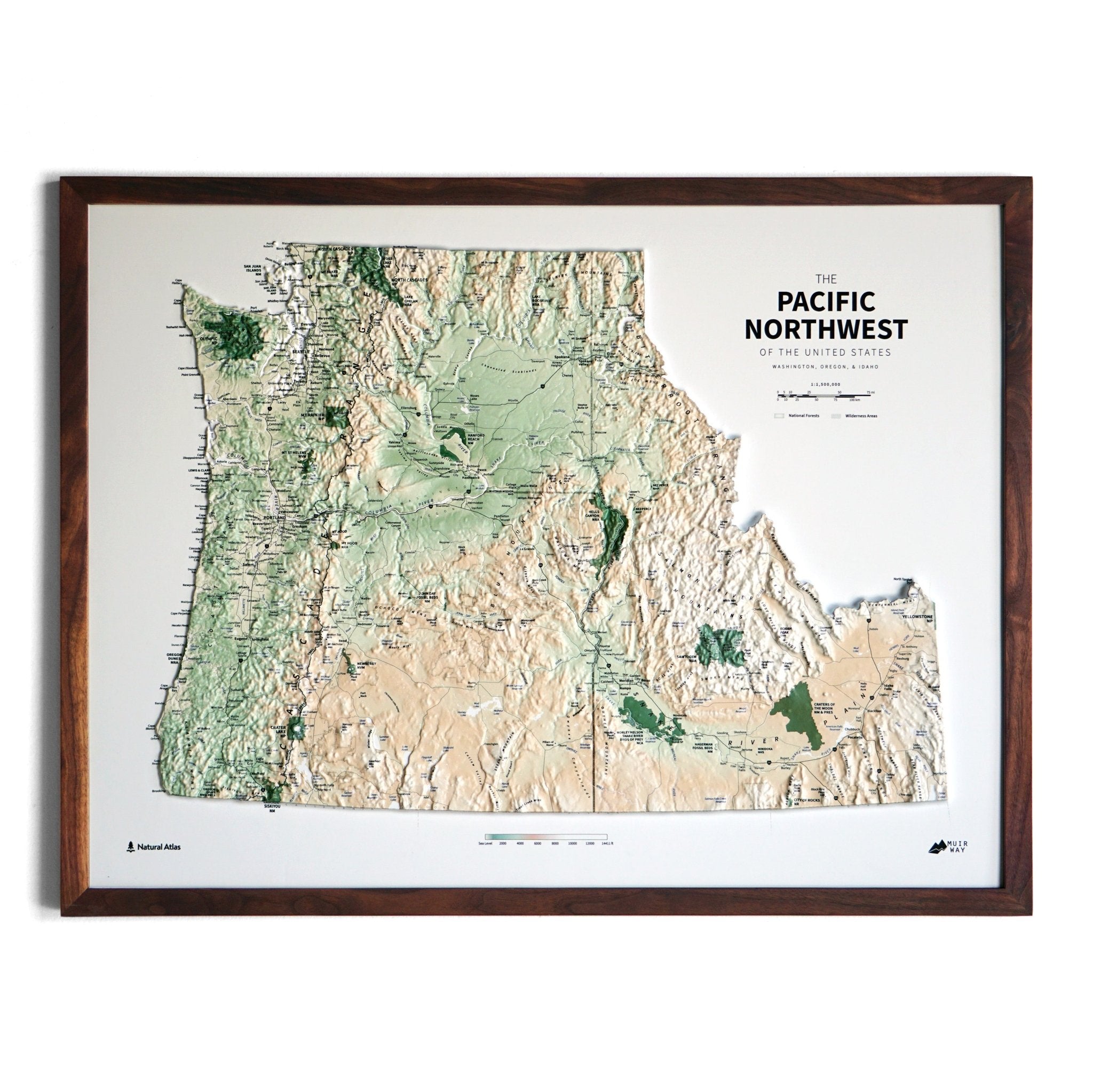 Pacific Northwest 3D Raised Relief Map - Muir Way - Natural Atlas
