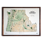 Pacific Northwest 3D Raised Relief Map - Muir Way - Natural Atlas