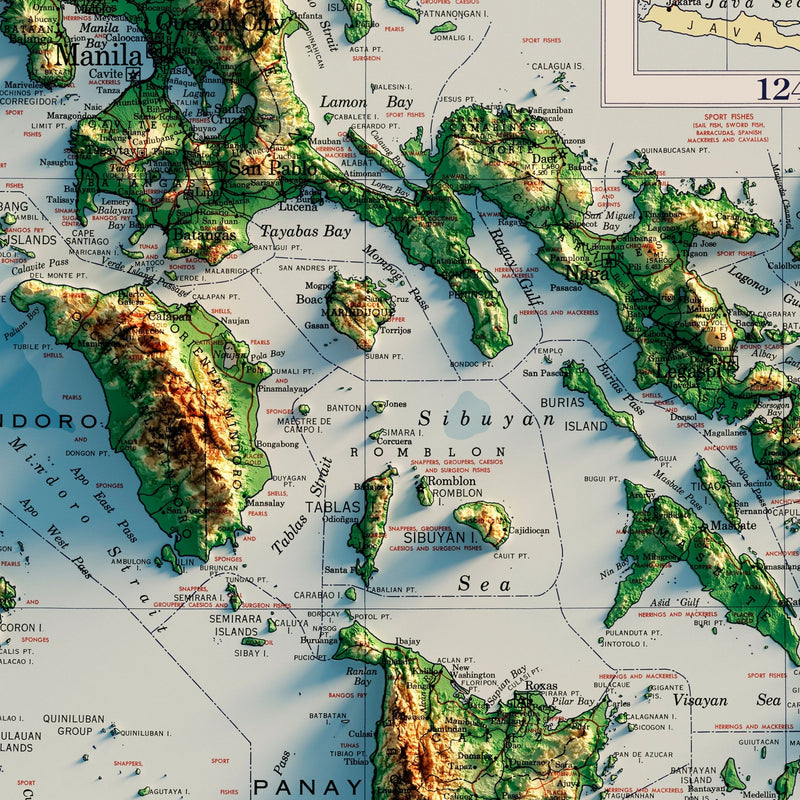 Philippines 1952 Shaded Relief Map - Muir Way - Vintage Relief