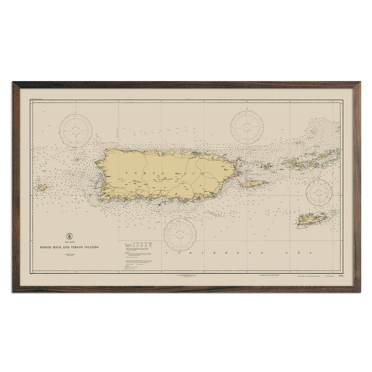 Puerto Rico Map Posters & Art - Puerto Rico Wall Maps - Muir Way