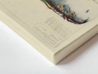 South America 1950 Shaded Relief Map – XL Canvas - Muir Way - XL Canvas