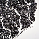 Texas Hydrological - 3D Raised Relief Map - Muir Way - 3D