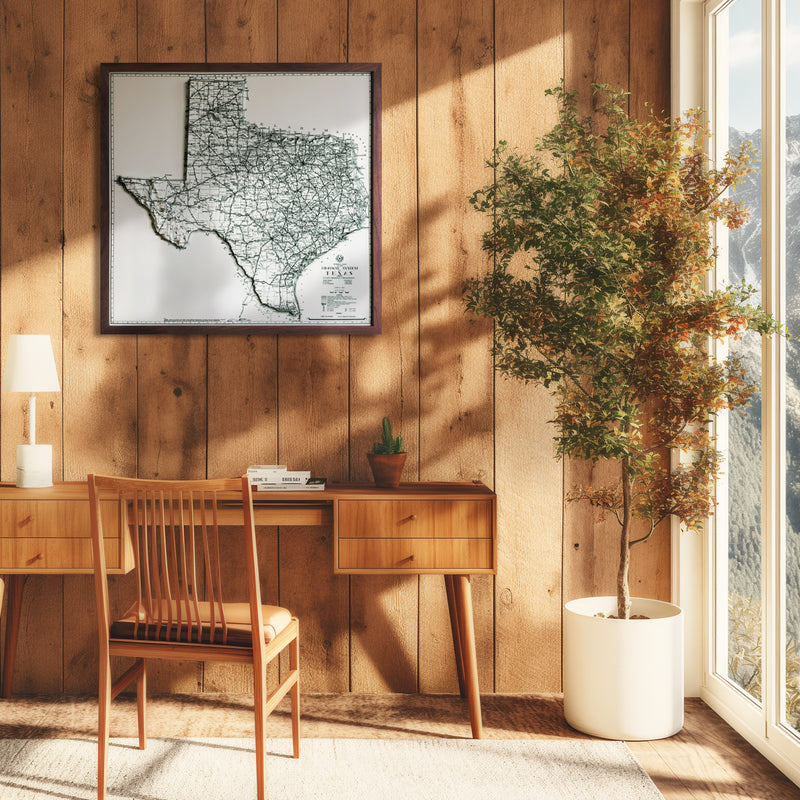 Texas 1933 3D Raised Relief Map - Muir Way - 3D