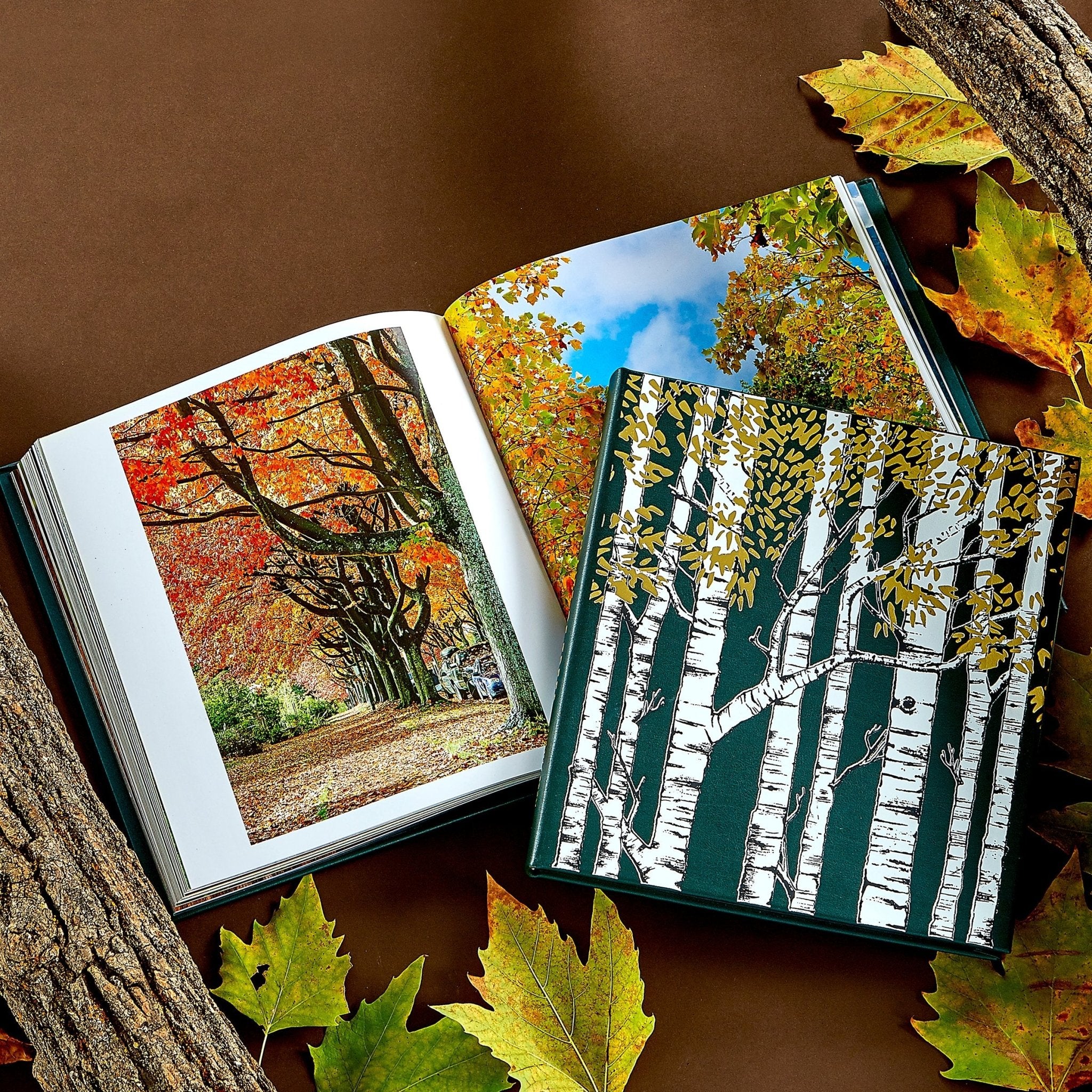 The Hidden Life of Trees - Muir Way - Books