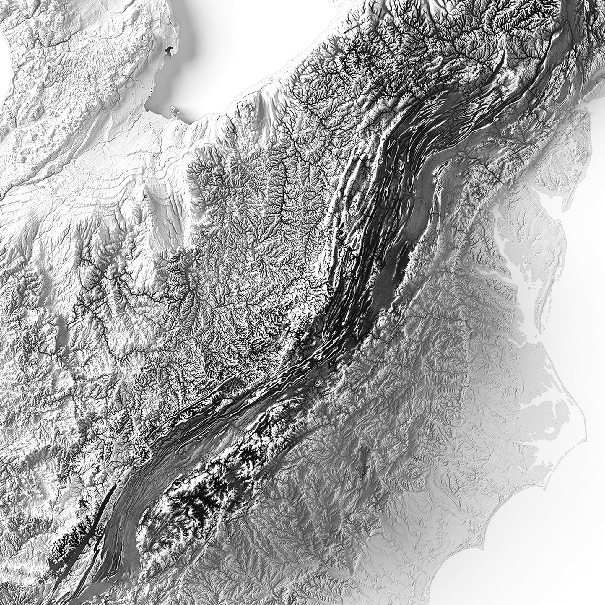 USA Elevation Map - Muir Way - Elevation