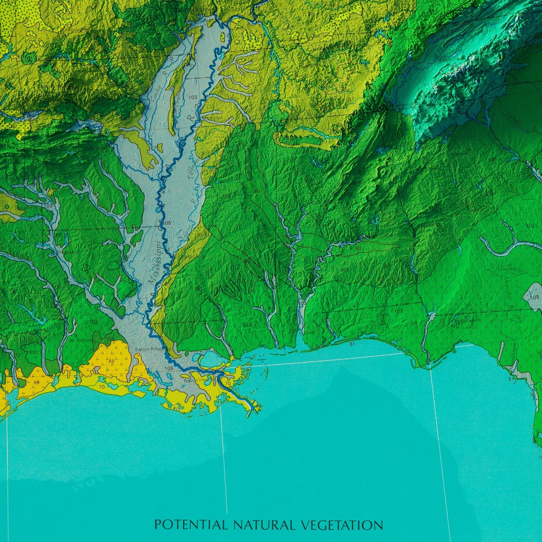 USA Natural Vegetation 1970 Shaded Relief Map - Muir Way - Vintage Relief