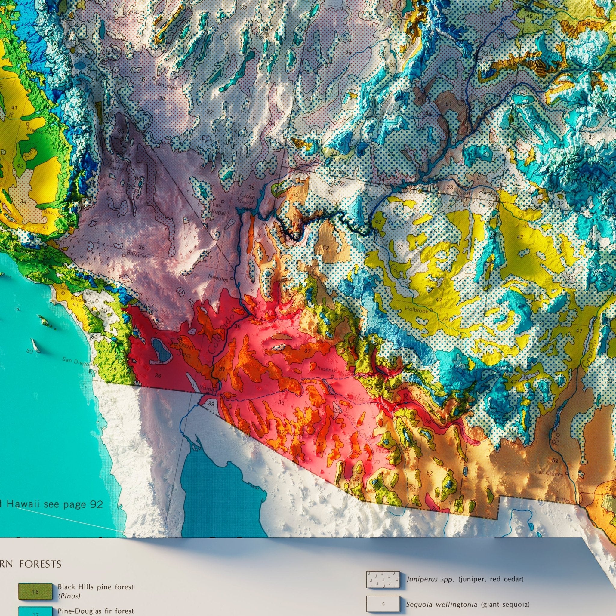 USA Natural Vegetation 1970 Shaded Relief Map - Muir Way - Vintage Relief