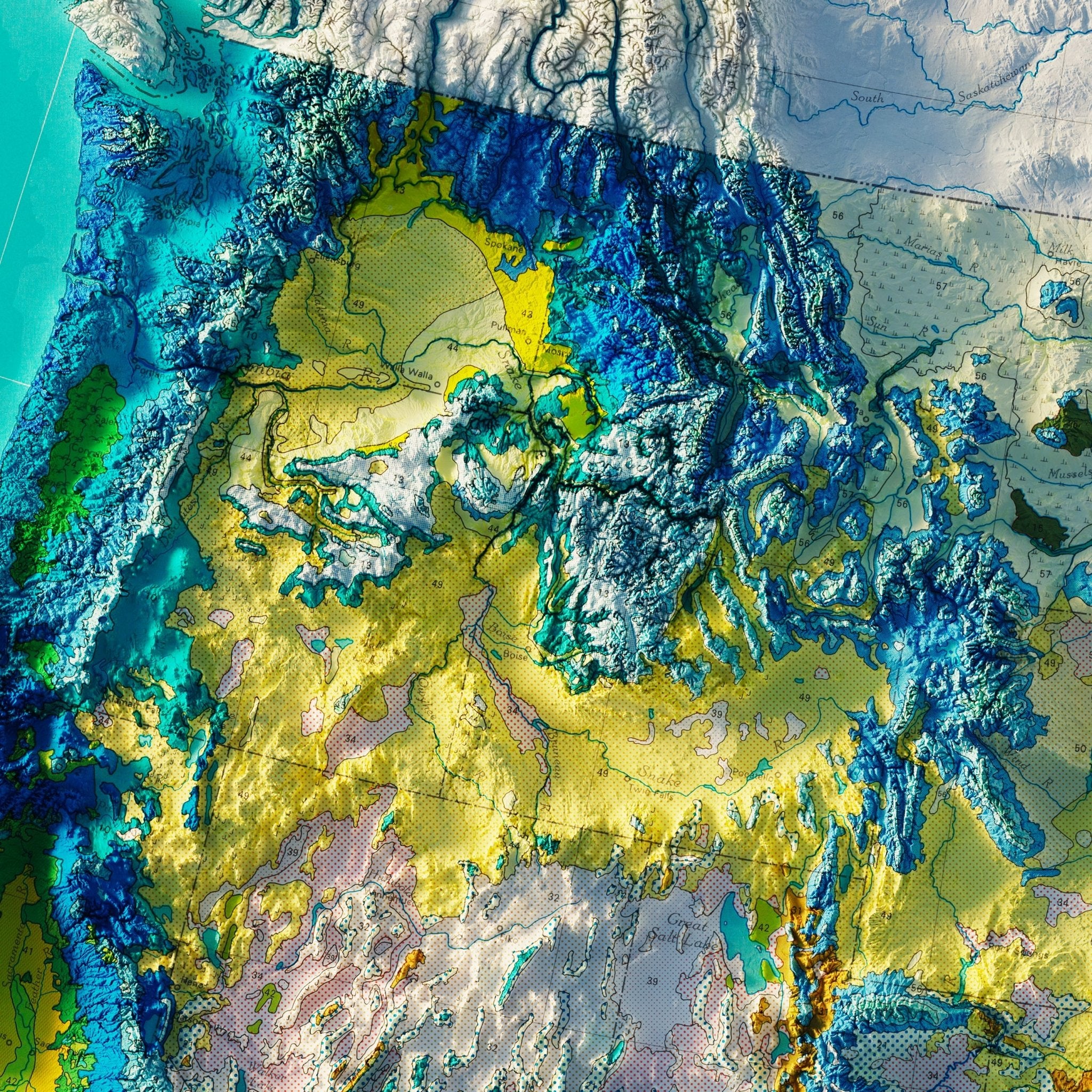 USA Natural Vegetation 1970 Shaded Relief Map - Muir Way - Vintage Relief