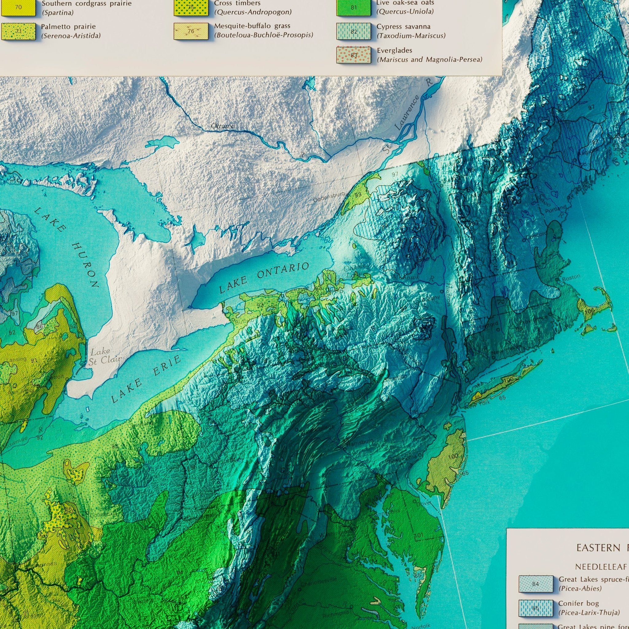 USA Natural Vegetation 1970 Shaded Relief Map - Muir Way - Vintage Relief