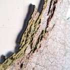 Virginia 1957 3D Raised Relief Map - Muir Way - 3D