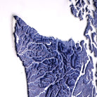Washington Hydrological - 3D Raised Relief Map - Muir Way - 3D