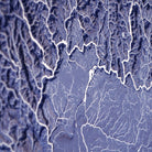 Washington Hydrological - 3D Raised Relief Map - Muir Way - 3D