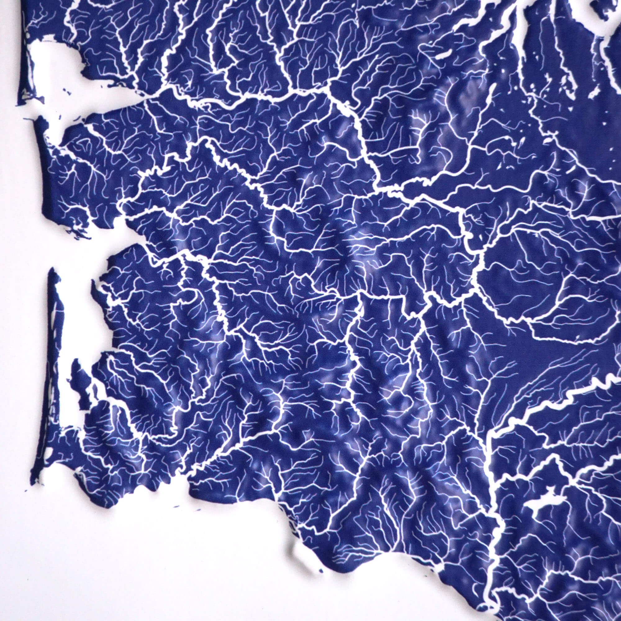 Washington Hydrological - 3D Raised Relief Map - Muir Way - 3D