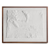 Wyoming 3D Raised Relief Map