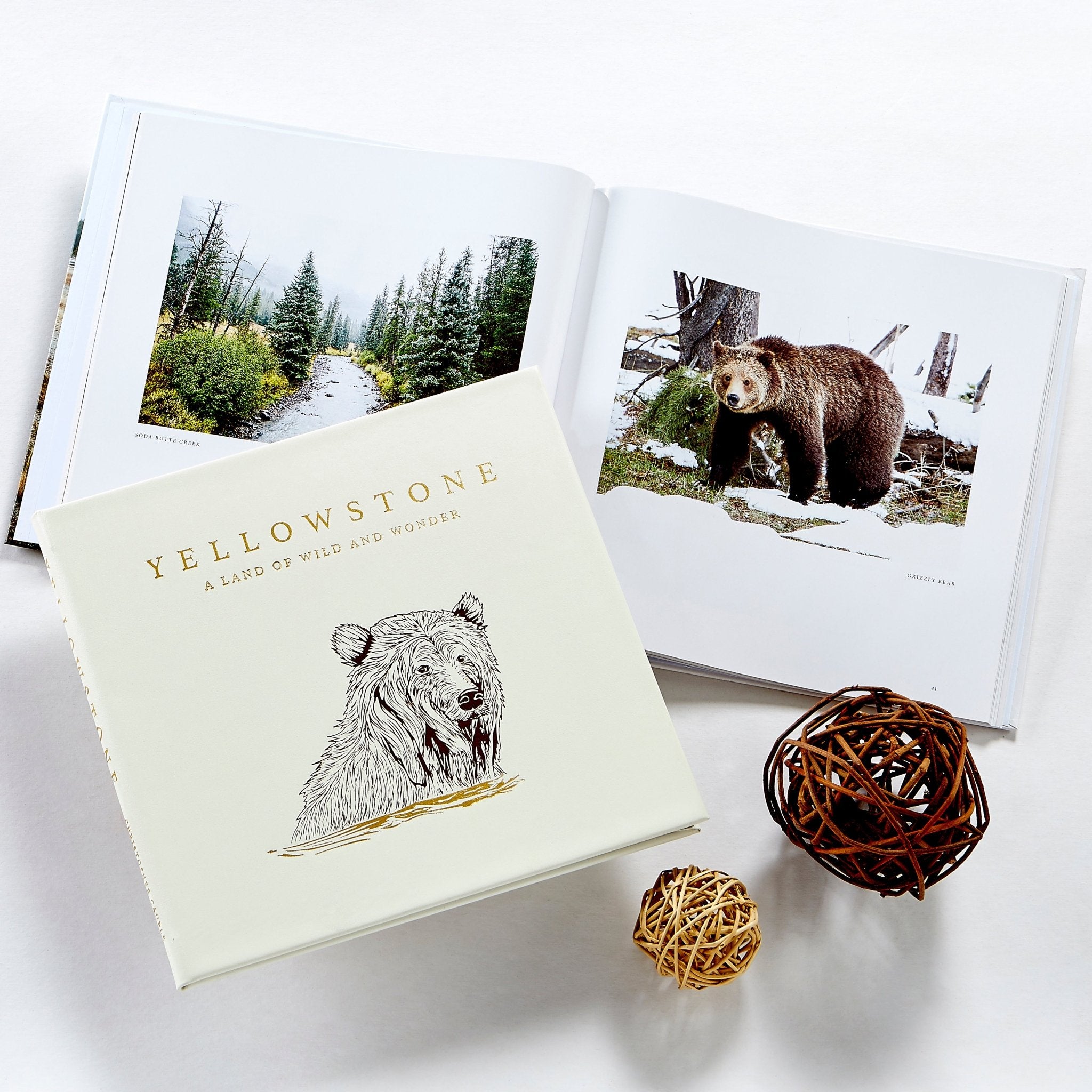 Yellowstone: A Land of Wild and Wonder - Muir Way - Books