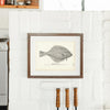 Alaska Sand Dab Art Print