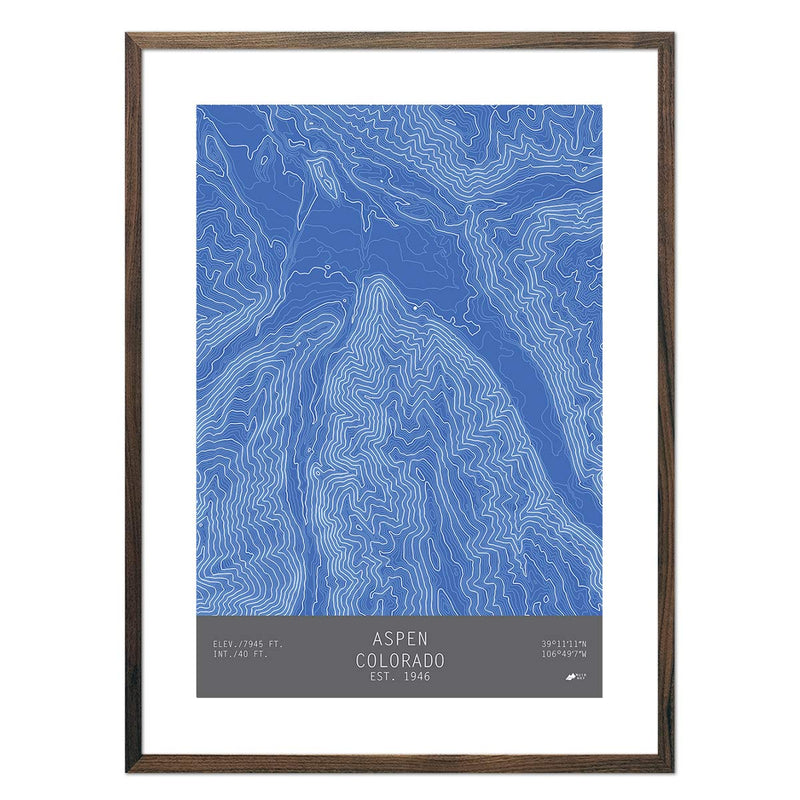 Aspen, Colorado - Muir Way - TOPO Series