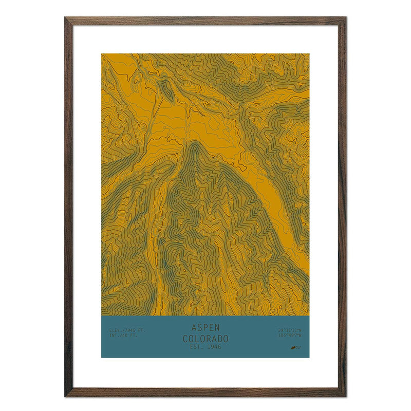 Aspen, Colorado - Muir Way - TOPO Series
