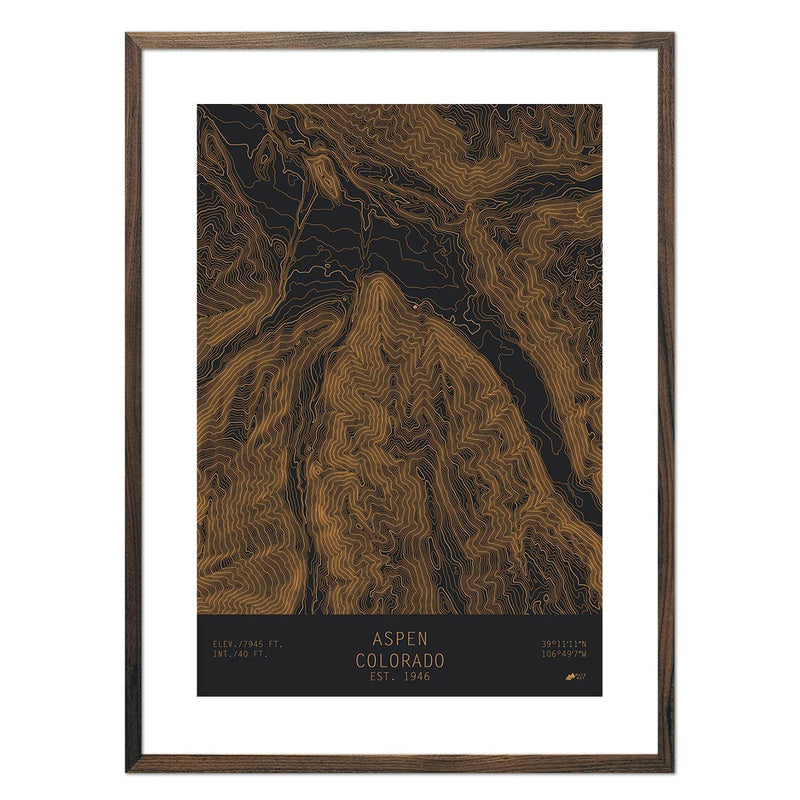 Aspen, Colorado - Muir Way - TOPO Series