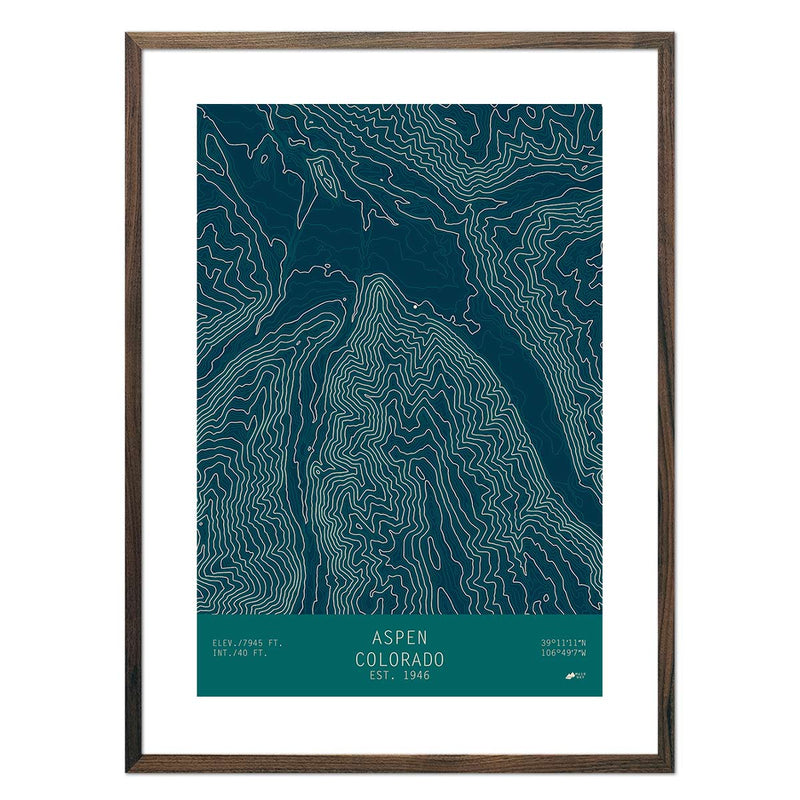 Aspen, Colorado - Muir Way - TOPO Series