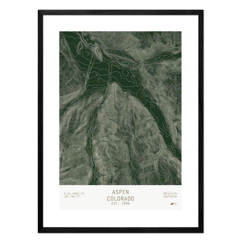 Aspen, Colorado - Muir Way - TOPO Series