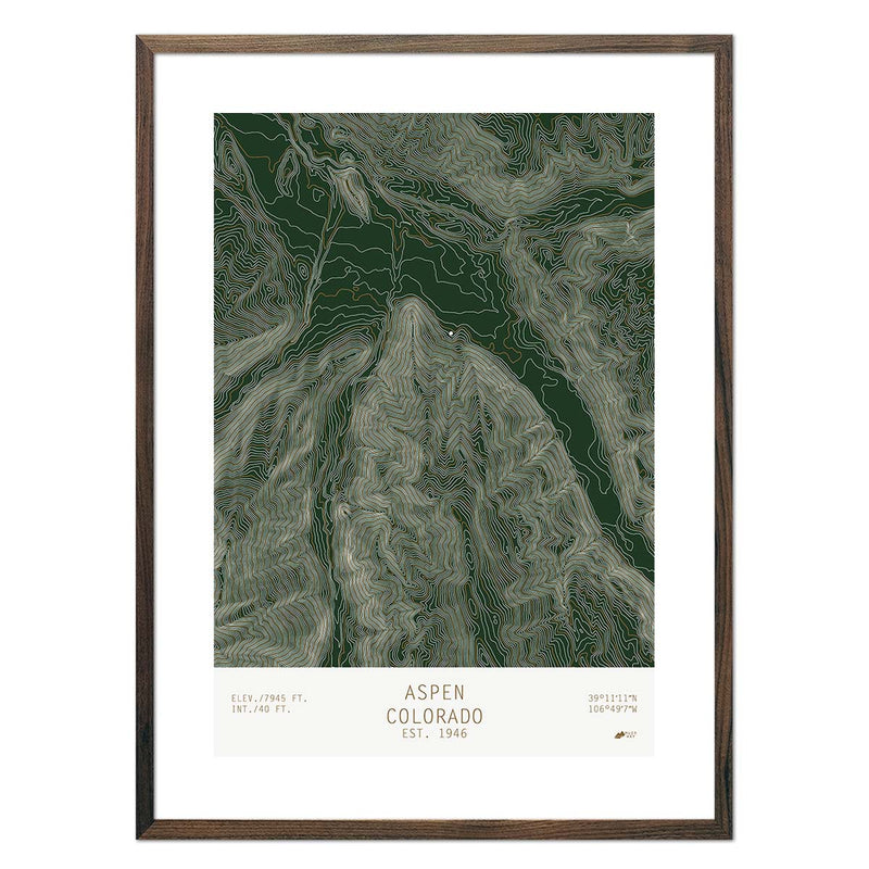 Aspen, Colorado - Muir Way - TOPO Series