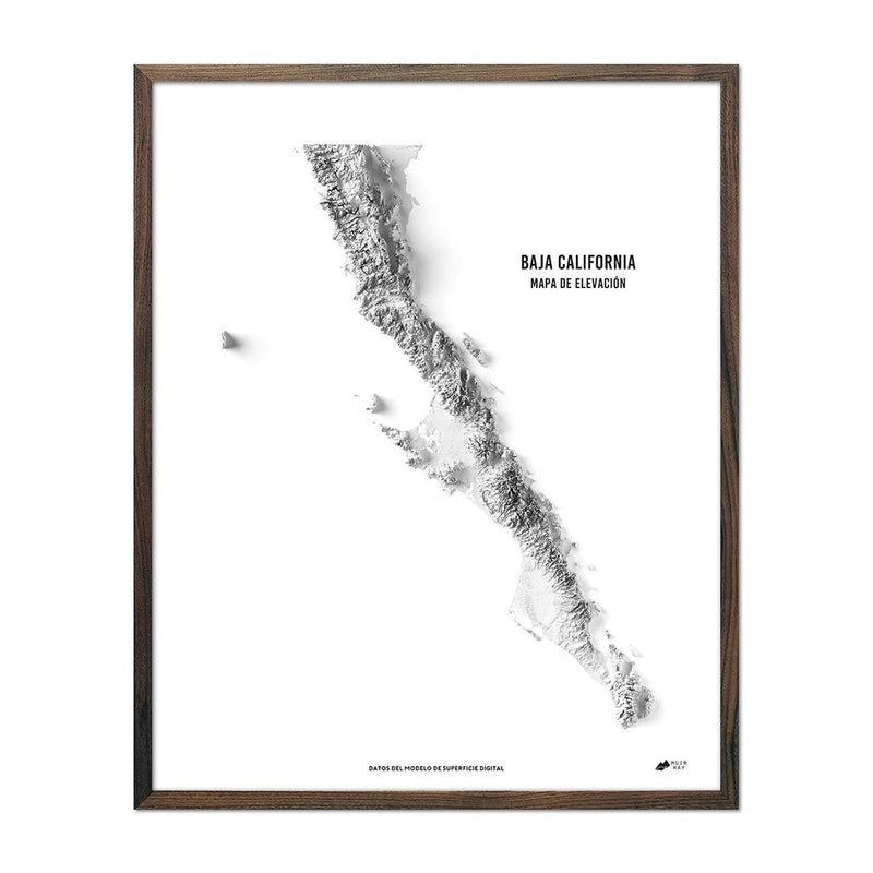 Baja California Elevation Map - Muir Way - Elevation