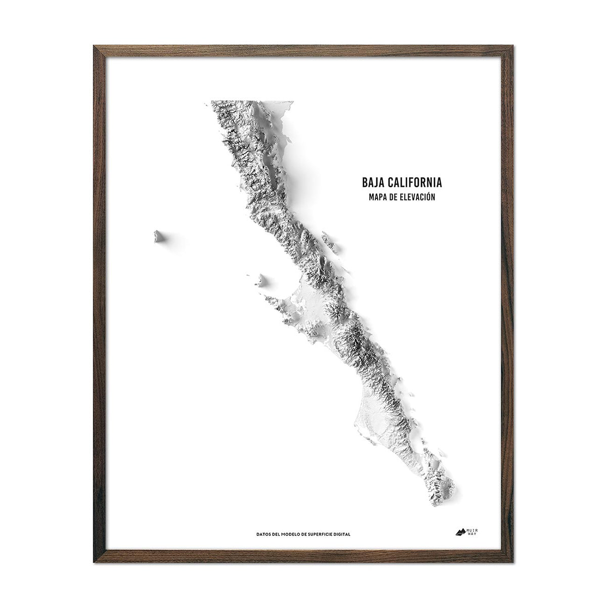 Baja California Elevation Map