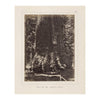 Base of Grizzly Giant, Yosemite 1868