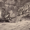Battle of the Rhinoceros of the Urus, Yellowstone 1873