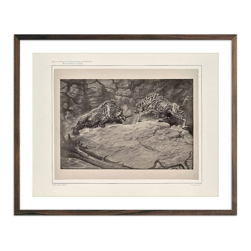 Battle of the Rhinoceros of the Urus, Yellowstone 1873 - Muir Way - Photograph