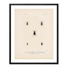 Beetles Art Print