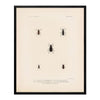 Beetles Art Print