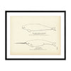 Beluga (White Whale) and Narwhal Art Print