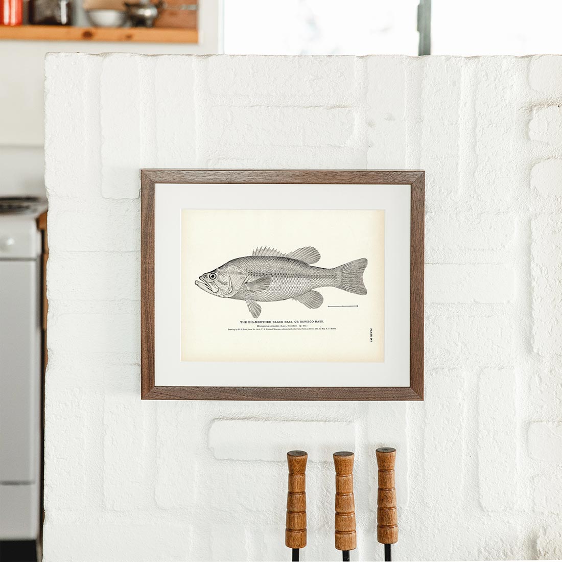 Big-Mouthed Black Bass (Oswego Bass) Art Print