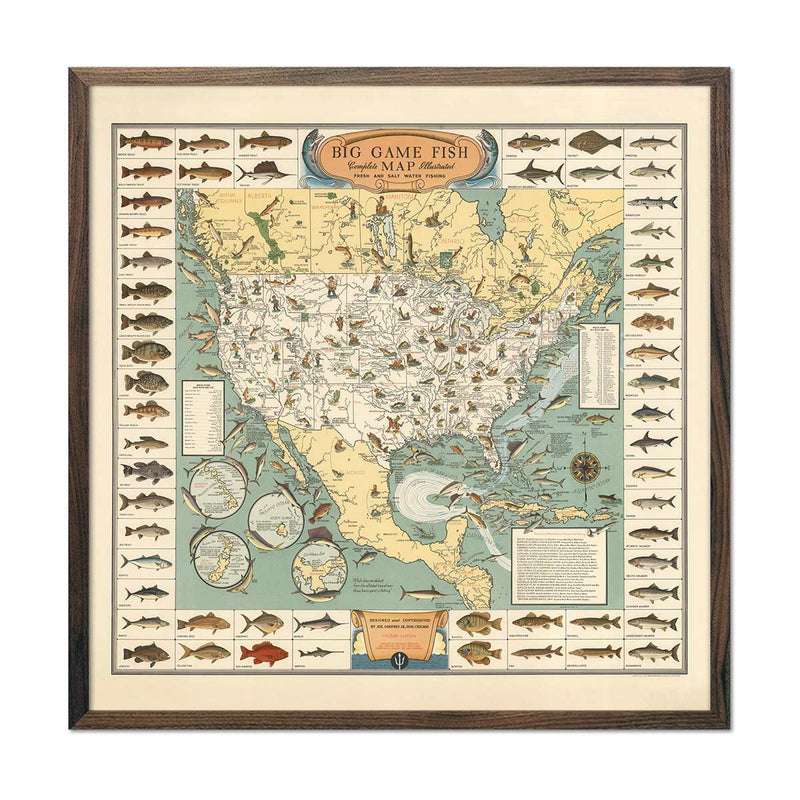 Big Game Fish Map - 1936 - Muir Way - Vintage Map