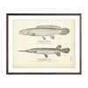 Vintage Bowfin and Short-Nosed Gar Pike fish print