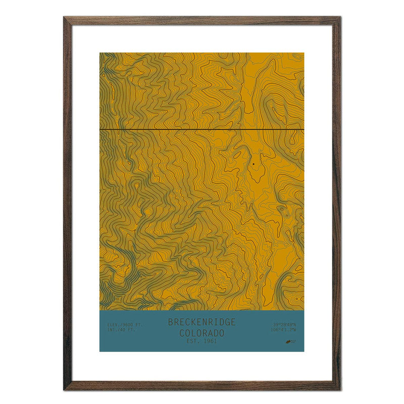 Breckenridge, Colorado - Muir Way - TOPO Series