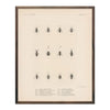 Bugs Art Print