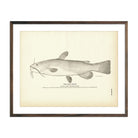 Vintage Bull-Head fish print