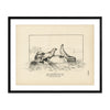 California Sea Lion Art Print