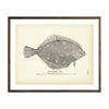 Vintage California "Sole" fish print