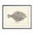 Vintage California "Sole" fish print