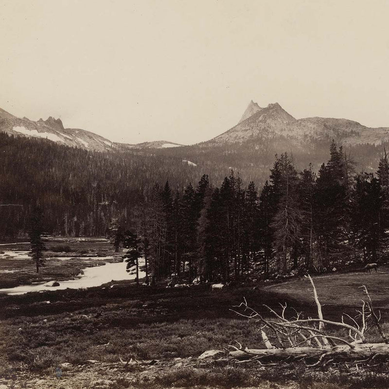 Cathedral Peak from Soda Springs, Yosemite 1868 - Muir Way - Photograph