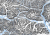 Chugach Mountain Range, AK Map