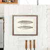 Cusk and Burbot (Freshwater Cusk) Art Print